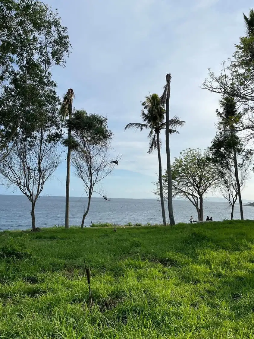 Tanah Beachfront di Seraya Karangasem Bali