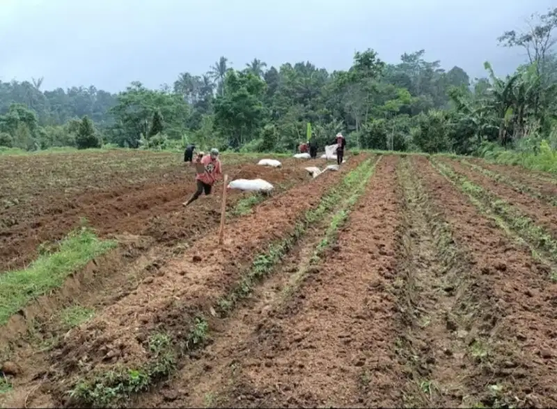 Kavling Luas di Purwakarta Cocok Untuk Usaha