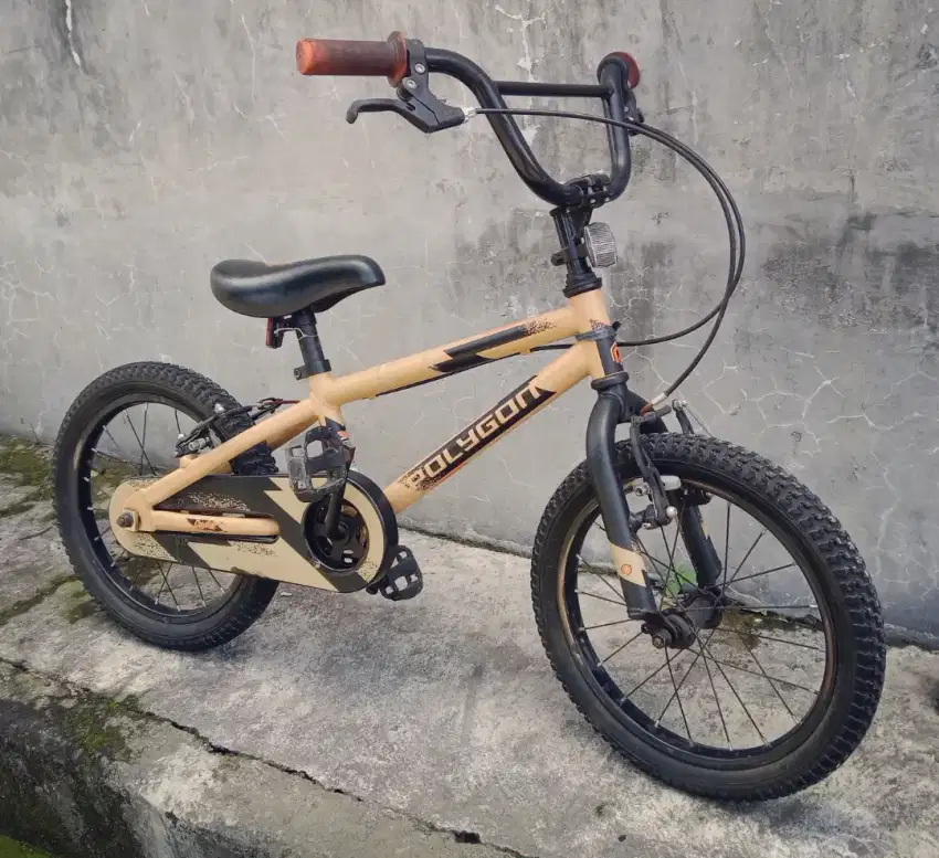 Bmx Polygon ban size 16