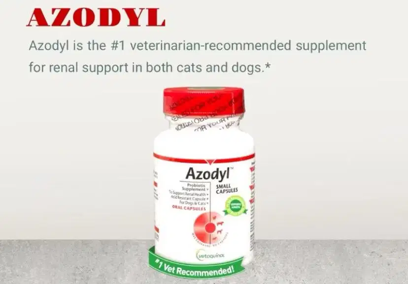 Suplemen untuk kucing yg kena flutd dan ginjal. Harga nego