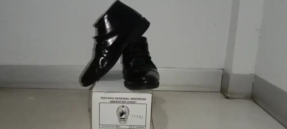 Sepatu PDH no.43
