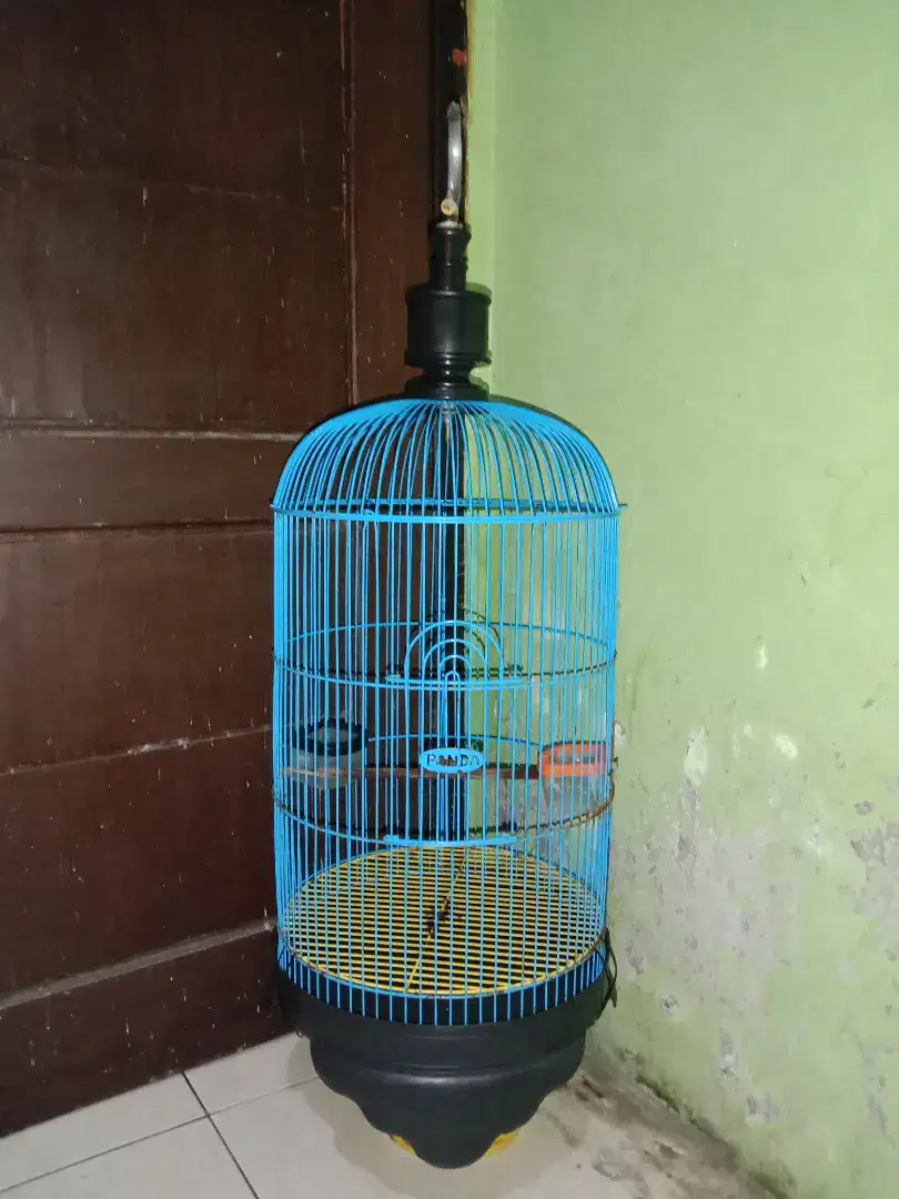 Kurungan/kandang/sangkar/kk/lovebird