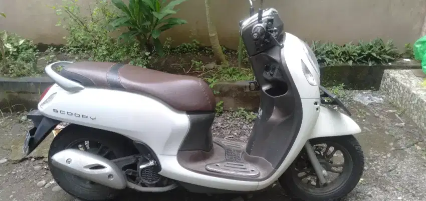 Scoopy putih 2022