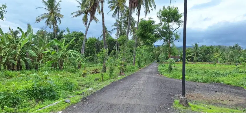 Dijual Tanah Pinggir Pantai Siap Kavling Transad Sambelia