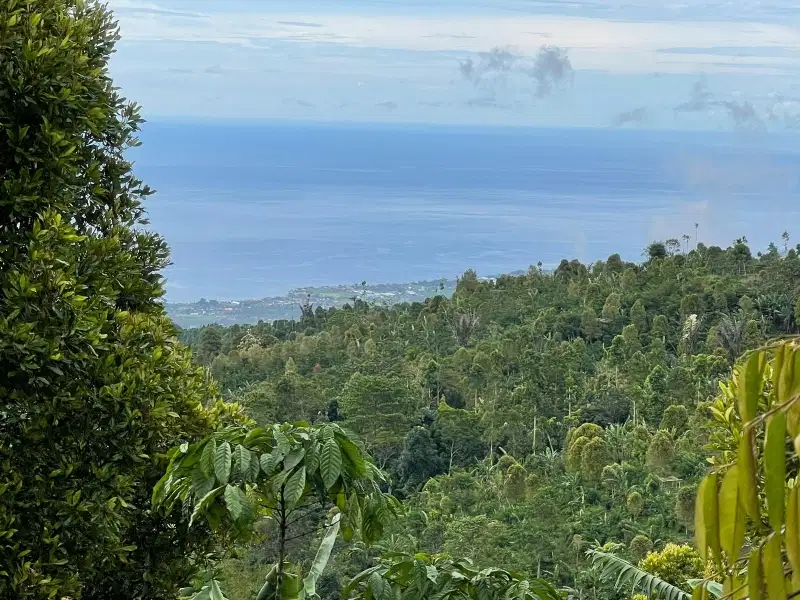 Dijual Tanah 1,86 Ha di Munduk Bali