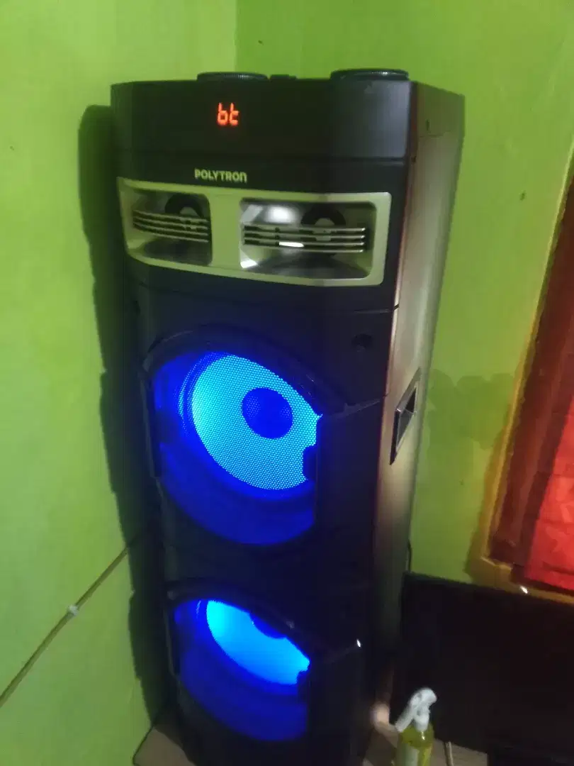 Speaker Polytron Pas 10D28