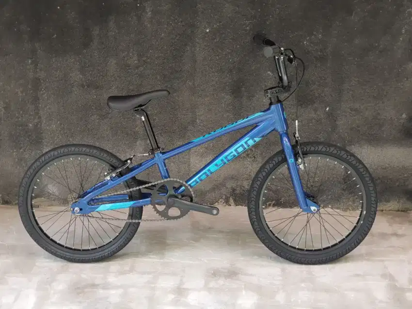 Sepeda Bmx Polygon Rogue