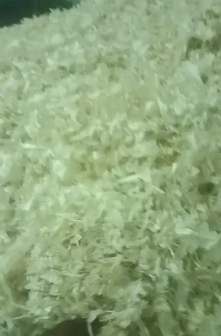 Kulit Bawang Putih Kating