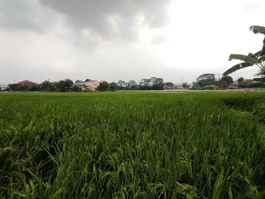 Tanah Luas & Strategis Pinggir Jalan di Zona Perumahan Tambun Selatan