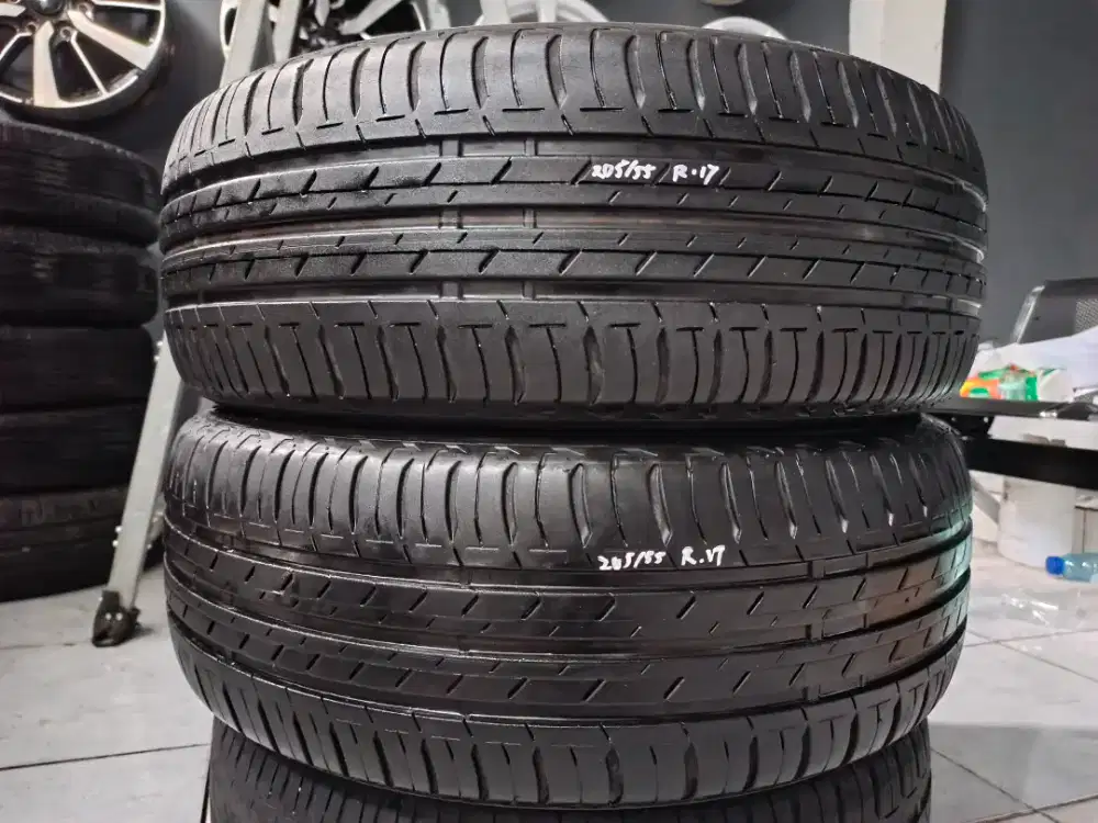 Ban 205/55 r17 Bridgestone ecopia 2pc copotan hub WA