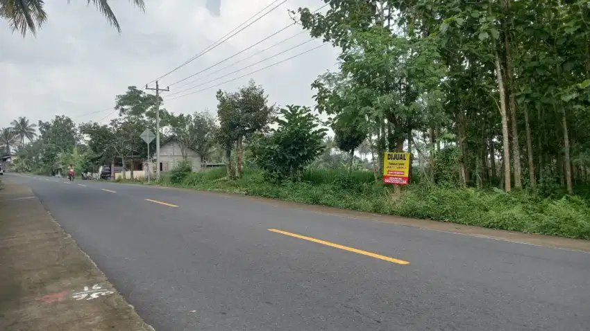 tanah pinggir jalan aspal besar