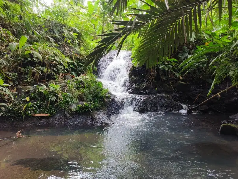 tanah murah los  sungai dan air terjun di tabanan bali