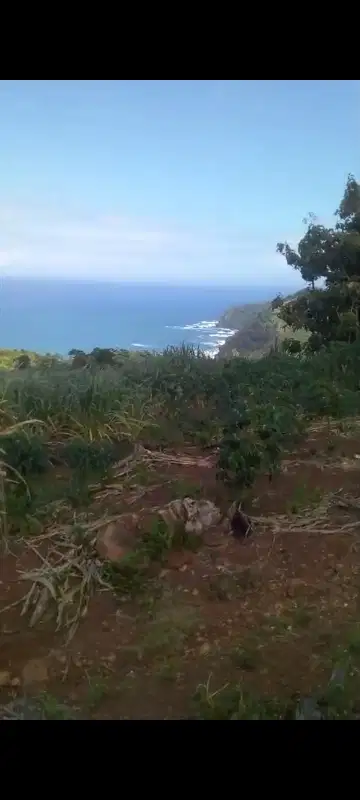 Tanah Dengan View Pantai  Malang Selatan