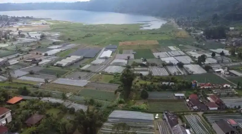 Tanah View Danau Pancasari Bedugul Buleleng Bali