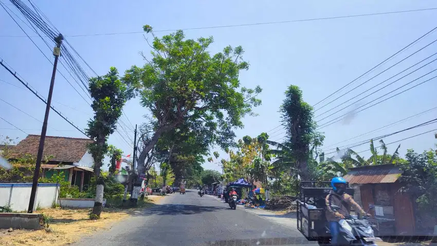 Tanah Murah Magetan Maospati, Dekat UNESA Kampus Magetan