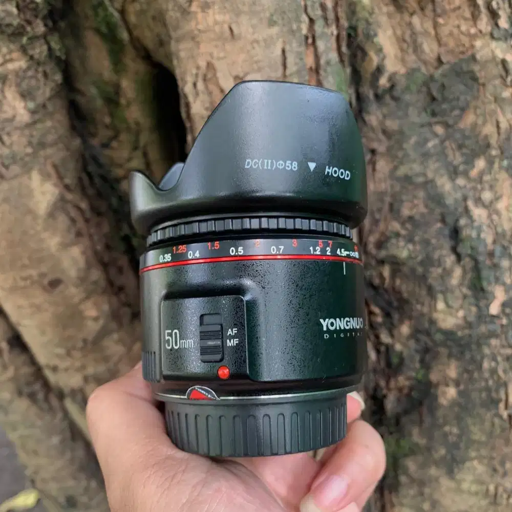 Lensa Yongnuo 50mm f1.8