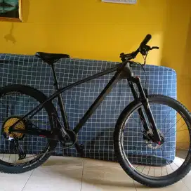 Sepeda Gunung MTB Pacific Armour DX Carbon 12 Speed