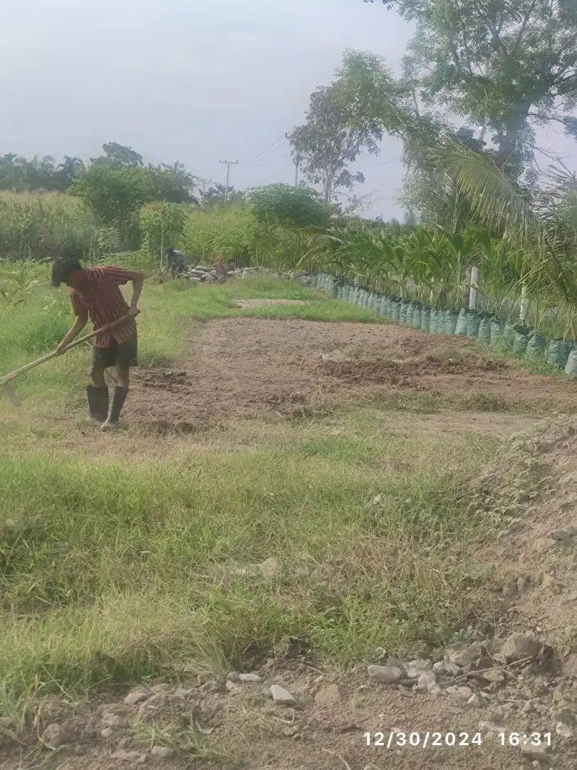 Tenaga Kerja Kebun