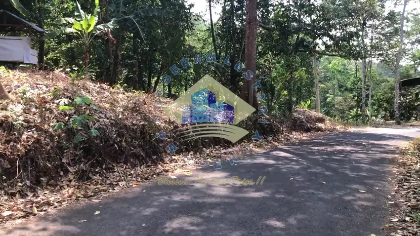 Dijual tanah kebun Durian di jl sayar Taktakan - Kota Serang, Banten