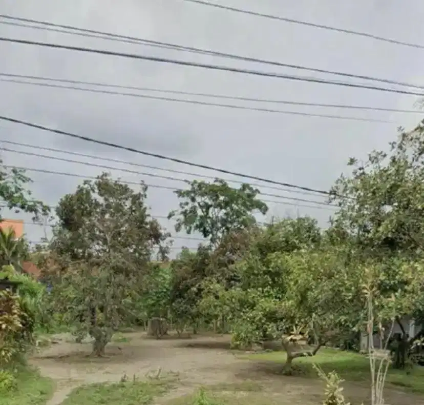 Dijual Cepat Tanah Murah Luas Di Kota Blitar 10jt/ru