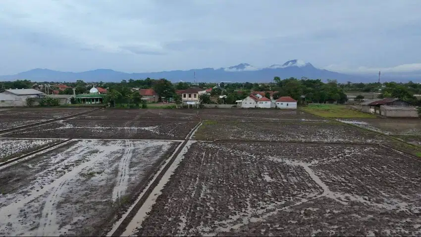 Sawah Belakang Puskesmas Sumbersari Ciparay Kabupaten Bandung