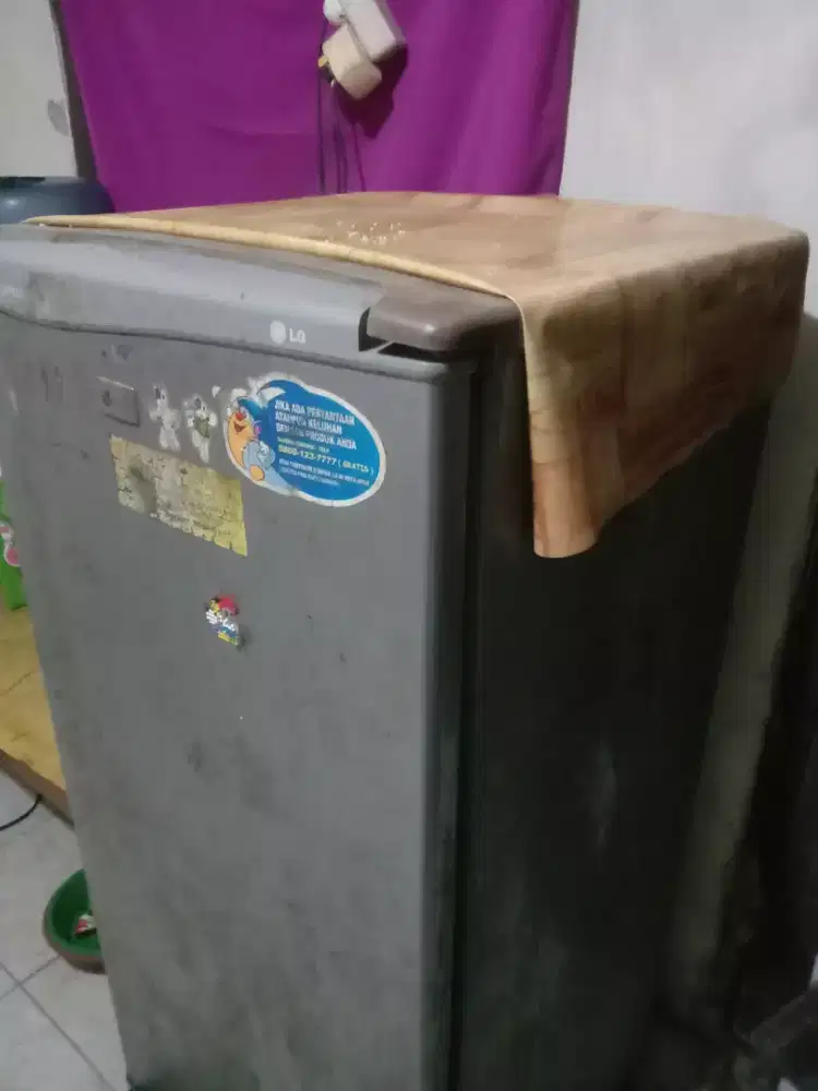 Kulkas LG 1 pintu epresscool