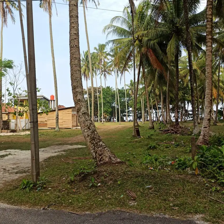 Jual tanah, land, sewa, rent, surf village tanjung setia krui