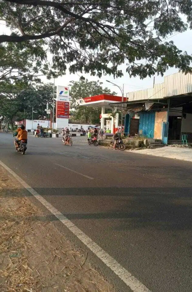 Tanah Strategis Dijual di Dlanggu, Mojokerto Murah