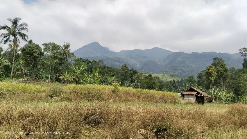 SAWAH  VIEW GUNUNG  AIR MELIMPAH DI Kp. Wisata.