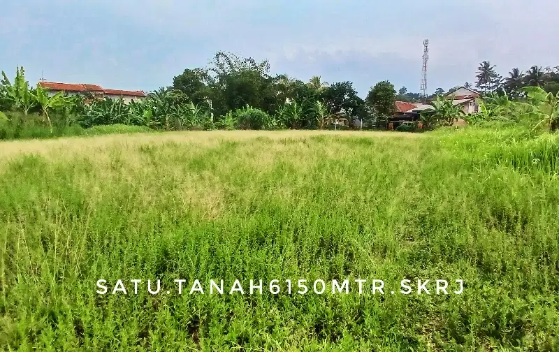 Dijual tanah luas subur pinggir jln dekat kota jalan nasional