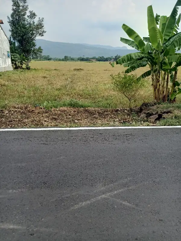 tanah sawahvstratzgis depan rumah warga jalan lebar