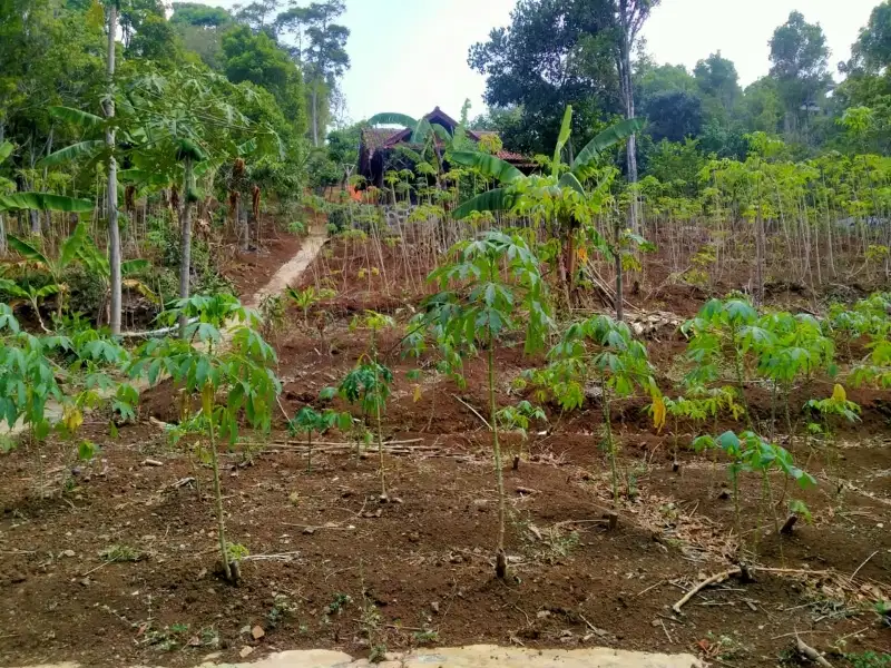 Jual Tanah murah di Melati Wangi Ujung Berung