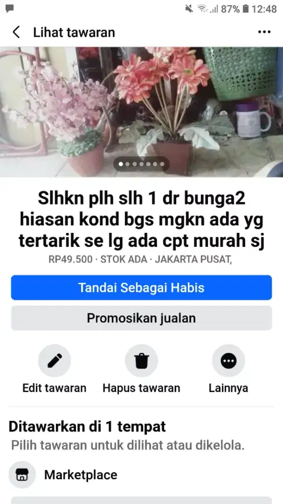Slhkn plh slh 1 dr hiasan bunga2 meja kantor dll kond bgs murah sj tuh