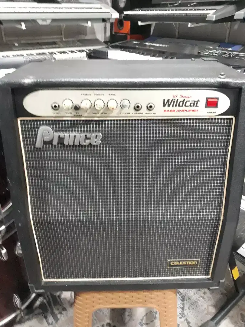 Ampli bass prince UK design Wildcat