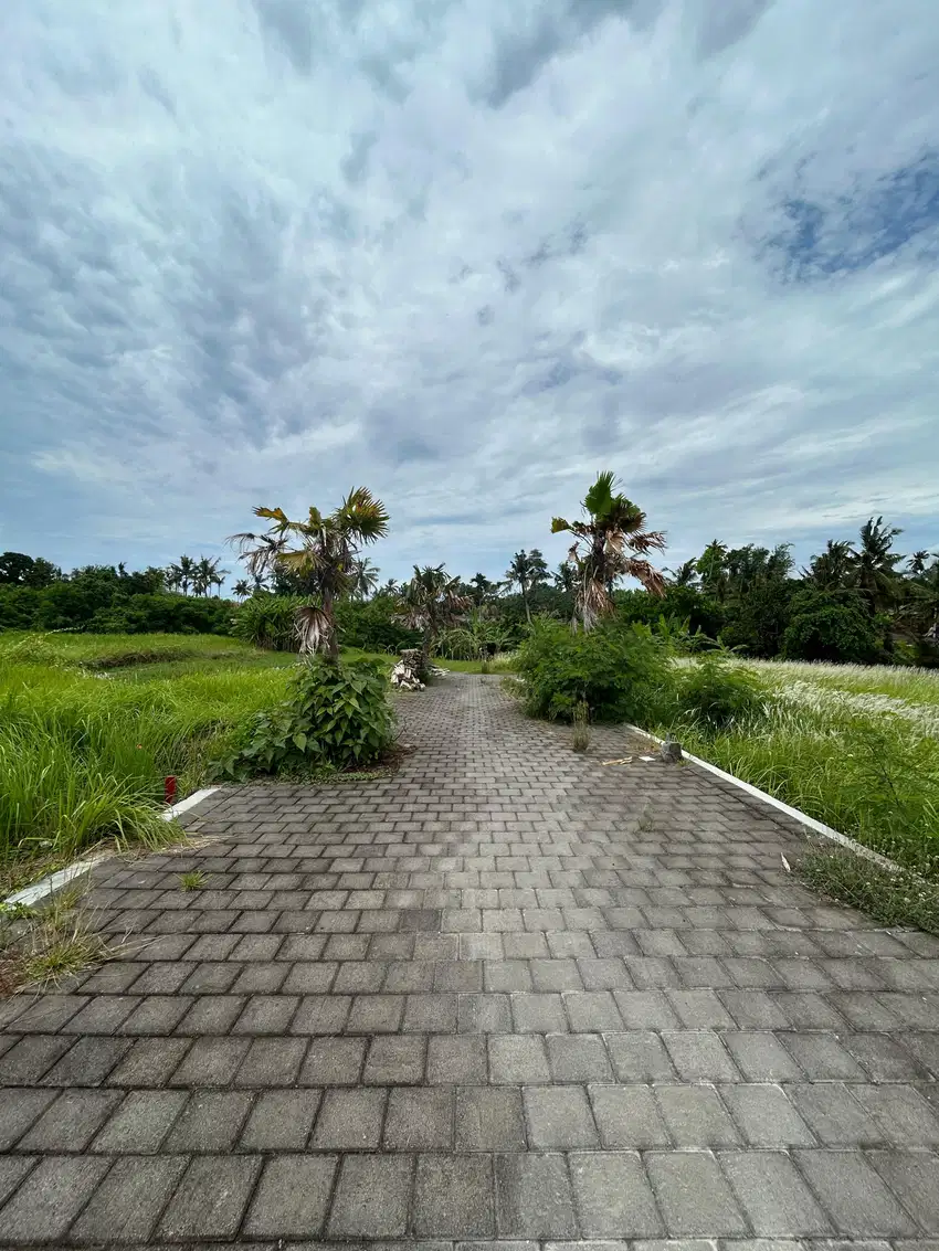 Tanah 830 m2 kawasan dekat pantai kedungu