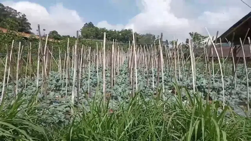 tanah non pertanian lokasi getasan