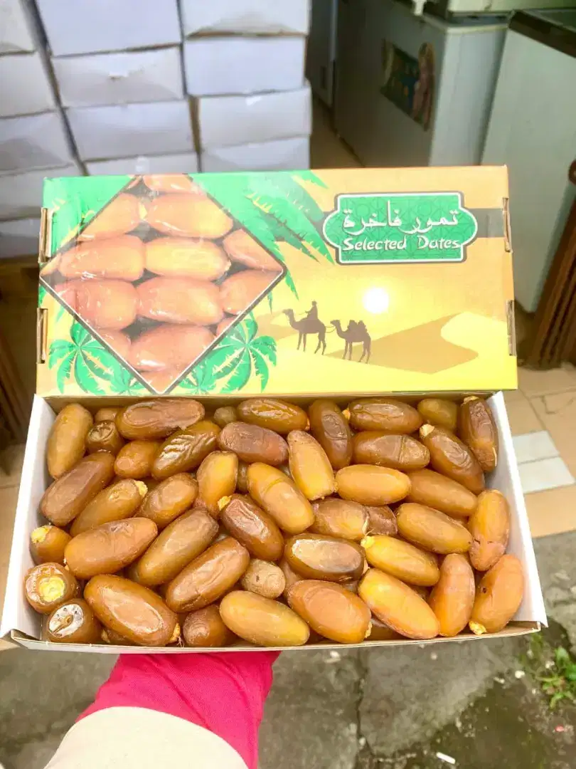 Kurma Ruthob Libya 1 kg, Kurma muda, Kurma Tunisia