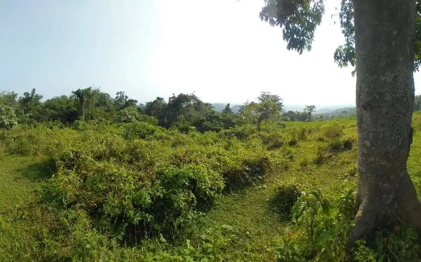 Di Jual Lahan Kebun Murah ,Cocok Untuk Investasi Atau Berkebun