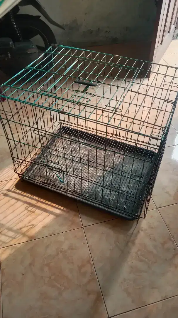 Kandang kucing. Anjing atau kelinci