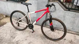 mtb dignity aloy 29er