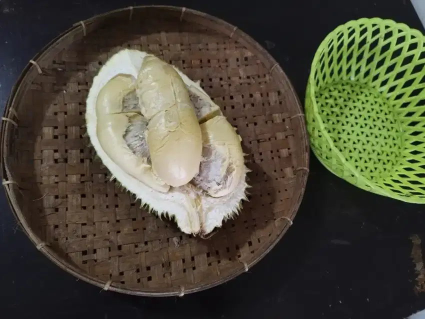 Durian jatohan durian matang pohon