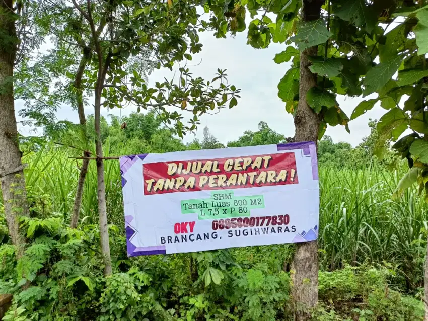 Tanah Dijual Magetan SHM 600m2