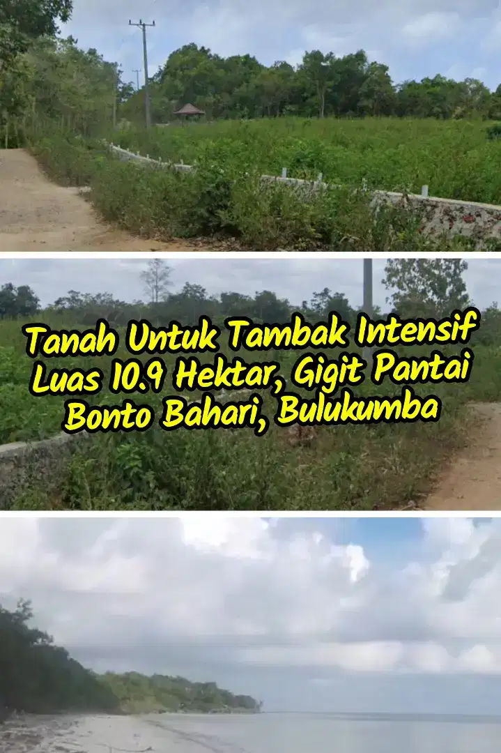 TANAH GIGIT PANTAI 11 HEKTAR (BONTOBAHARI, BULUKUMBA) BISA CASH TEMPO