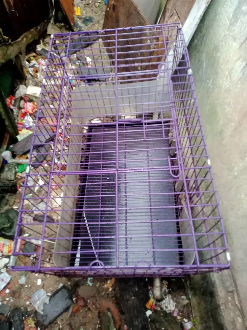 Kandang kucing + kandang untuk bawa kucing dan box tempat pasir kucing