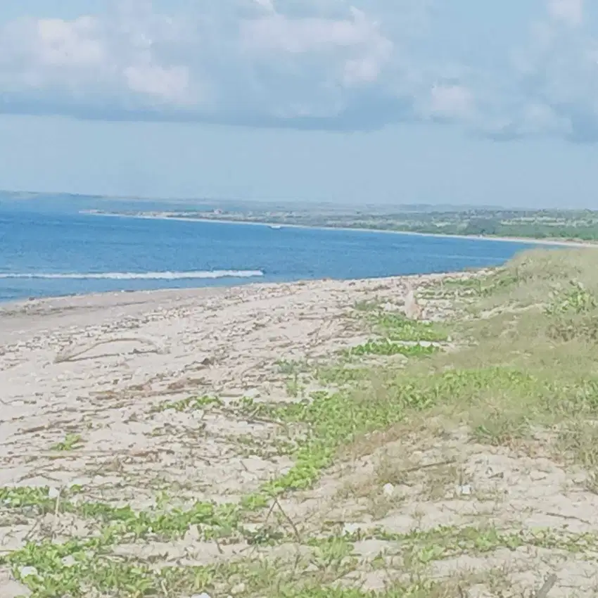 Dijual Tanah Luas 30 Ha di Pinggir Pantai Sumba Tengah, NTT