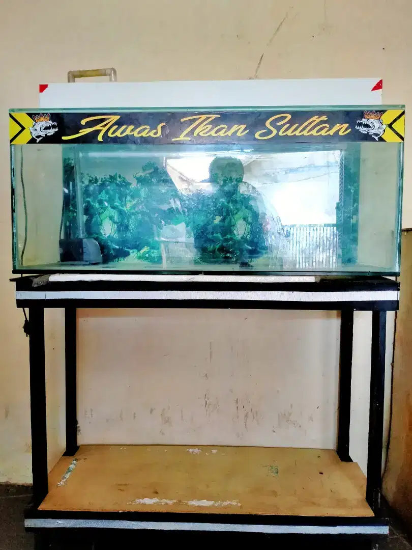 Di jual aquarium / akuarium kaca ukuran 80cm