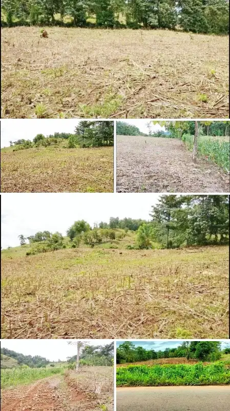 Kebun Murah 6.781 M2 Siap Pakai di Desa Tanakaraeng dekat Bilibili