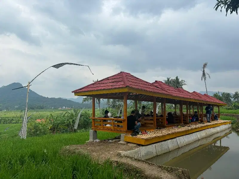 Jual Cepat Tanah Kavling Sawah Produktif Estetik