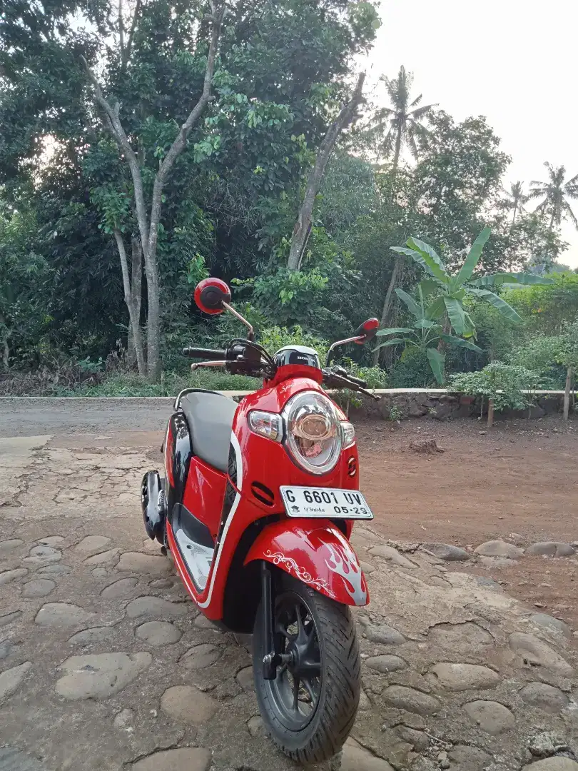 MOTOR SCOOPY 2019