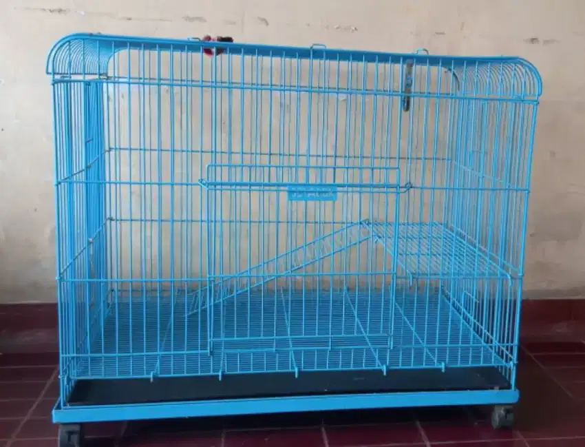 Kandang Kucing di Jual